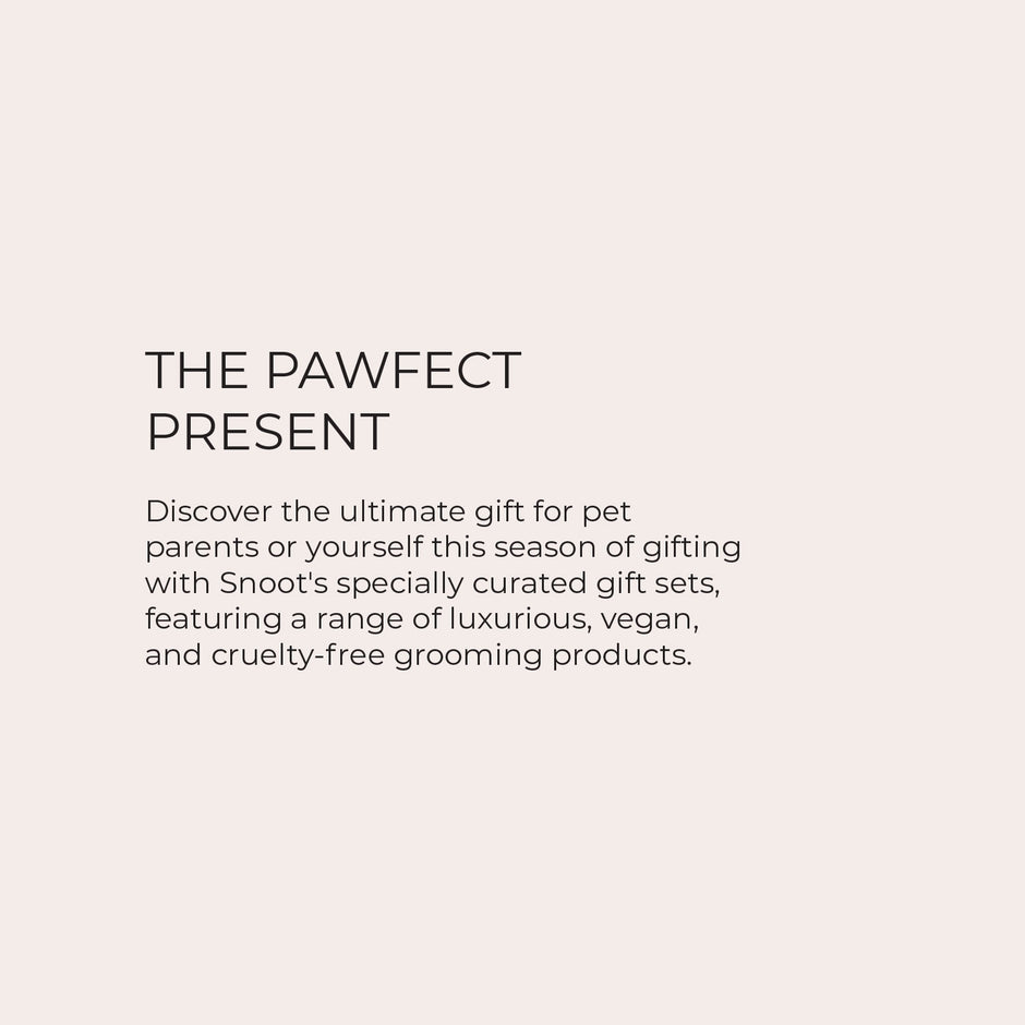 SNOOT India's Premier Vegan Pet Brand for your Dogs and Cats - GIFTING_GIFT_SETS_BUNDLES