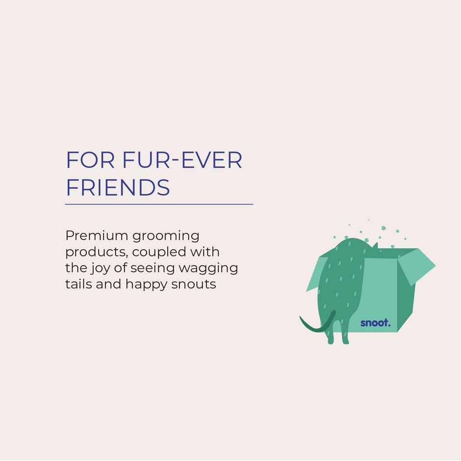 SNOOT India's Premier Vegan Pet Brand for your Dogs and Cats - GIFTING_GIFT_SETS_BUNDLES