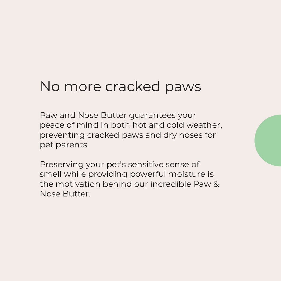SNOOT India's Premier Vegan Pet Brand for your Dogs and Cats - PAW_NOSE_BUTTER
