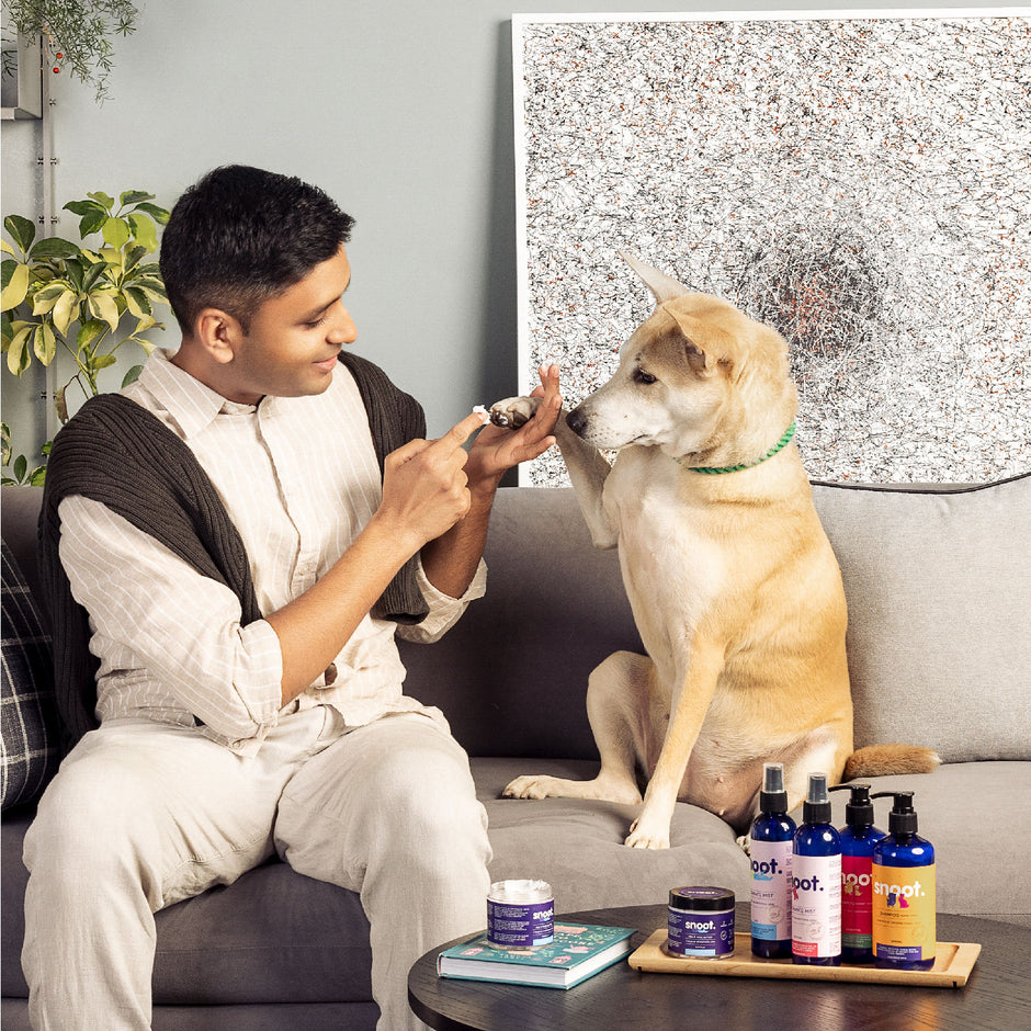 SNOOT India's Premier Vegan Pet Brand for your Dogs and Cats - PAW_NOSE_BUTTER