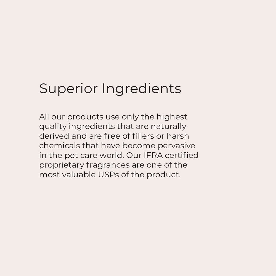 SNOOT India's Premier Vegan Pet Brand for your Dogs and Cats - PAW_NOSE_BUTTER