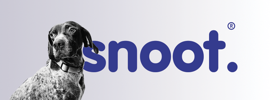 SNOOT. | Pet & Pet Parents Lifestyle Brand