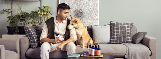 SNOOT | Pet & Pet Parents Lifestyle Brand. India's 1st PeTa certified safest pet brand
