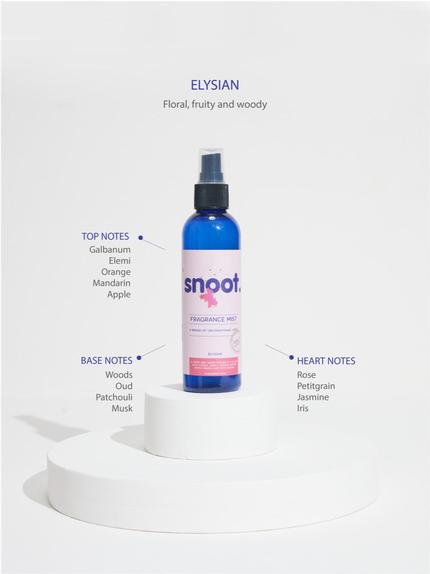 Snoot best smelling fragrance mist Elysian for dogs and cats