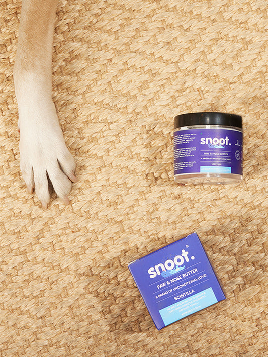 Moisturising Paw & Nose Butter for all breeds and age of dogs and cats
