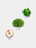 Load image into Gallery viewer, APPLE (Sundried Jerky)

