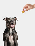 Load image into Gallery viewer, APPLE (Sundried Jerky)

