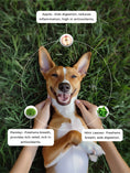 Load image into Gallery viewer, APPLE (Sundried Jerky)
