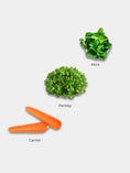 Load image into Gallery viewer, CARROT (Sundried Jerky)
