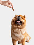 Load image into Gallery viewer, CARROT (Sundried Jerky)
