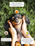 Load image into Gallery viewer, PAPAYA BAJRA (Millet Treats)
