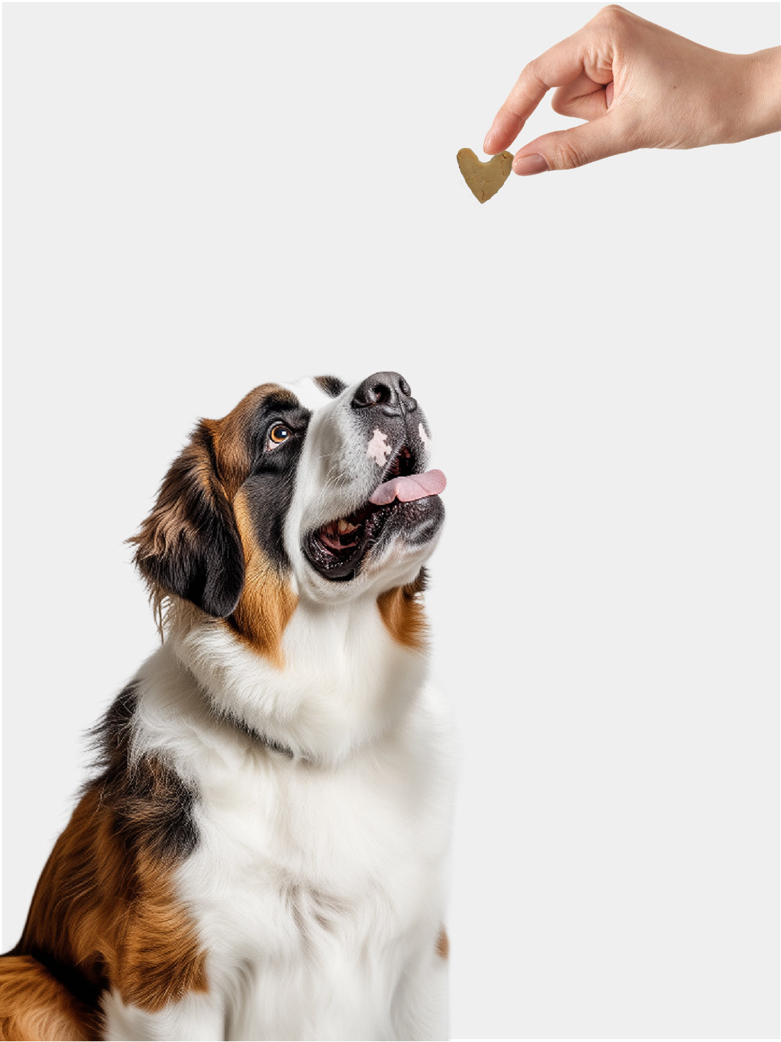 PEANUT BUTTER (Rice Crackers)