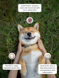 Load image into Gallery viewer, SWEET POTATO (Rice Crackers)

