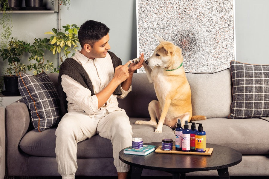 India's Premier Vegan Grooming Brand for Your Pets, Dogs and Cats, and Pet Parents