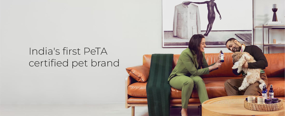 SNOOT | Pet & Pet Parents Lifestyle Brand. India's 1st Peta certified safest pet brand